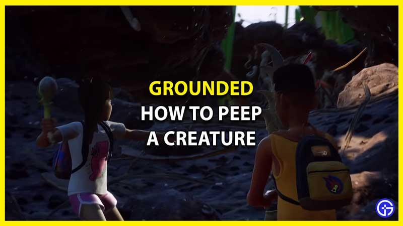 How To Peep Creatures In Grounded