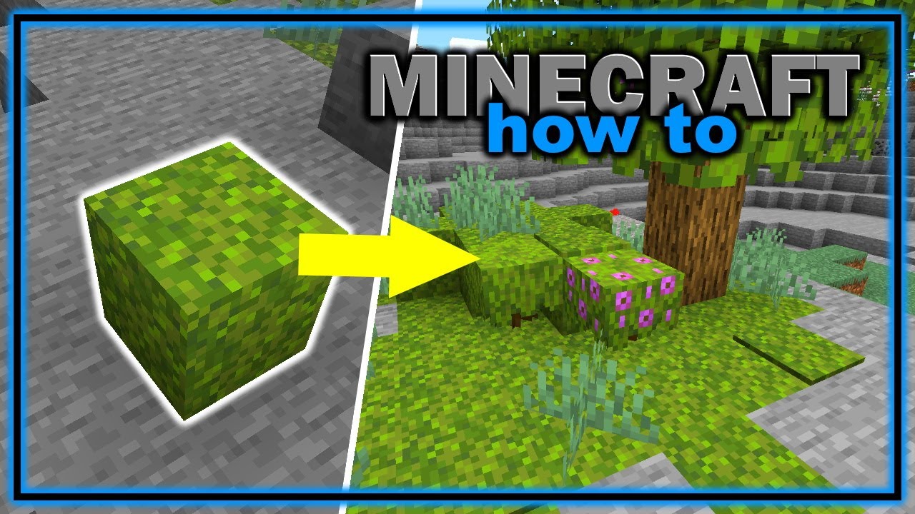 Minecraft: How to Get and Use Moss Blocks